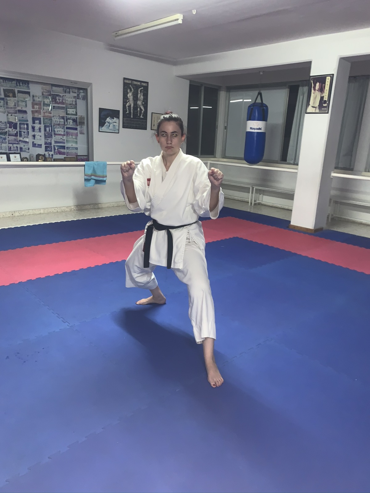 Karate training photo