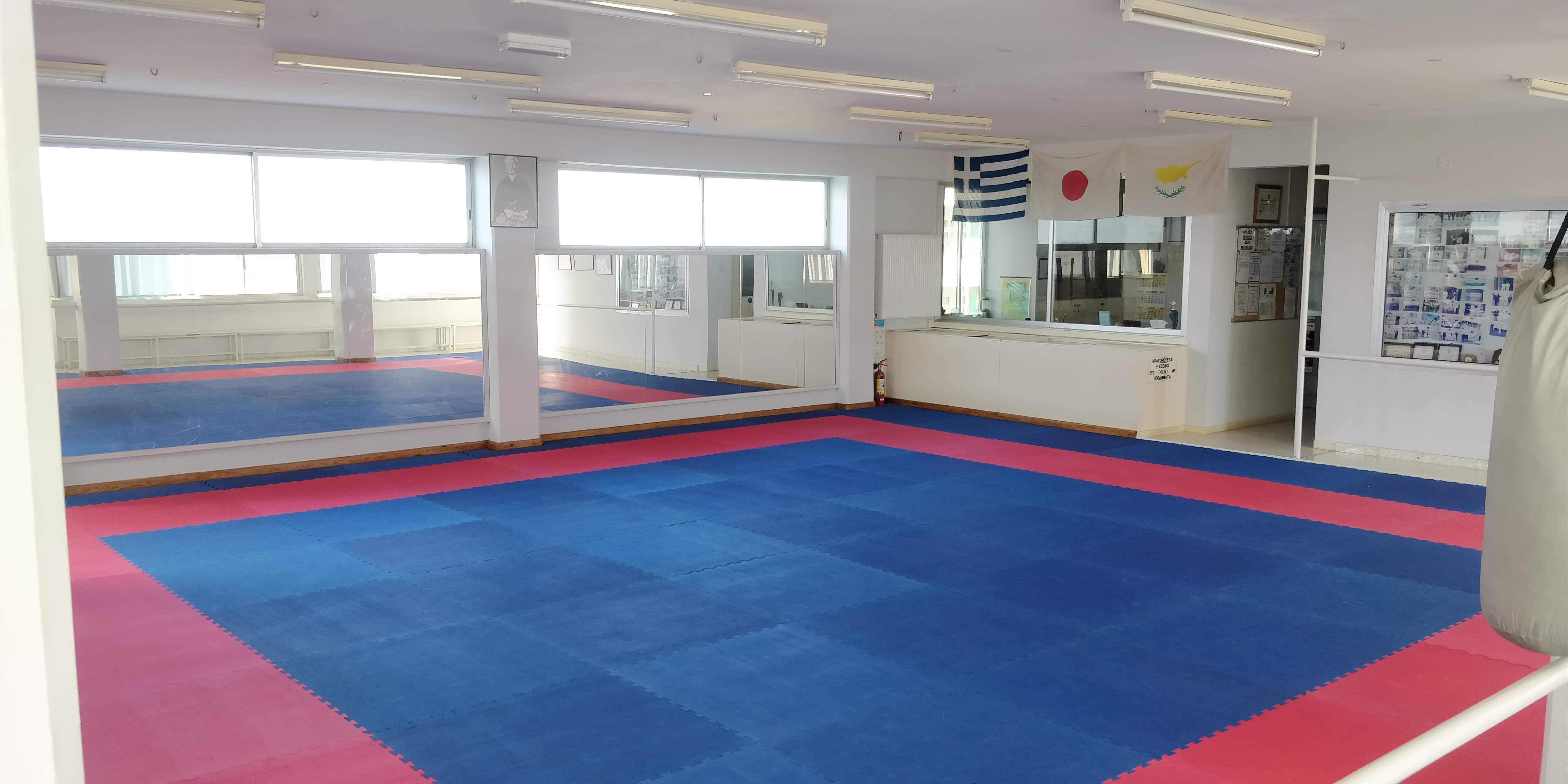 Karate techniques demonstration photo